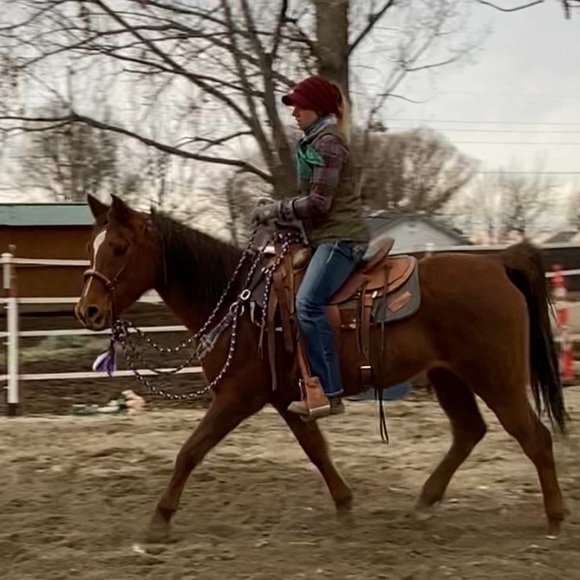 Meet your Posher, Brittany - Picture 13 of 16